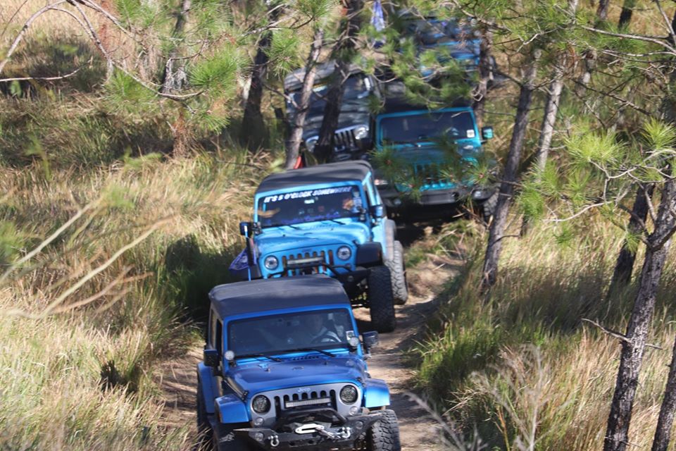 Jeeps on trail at Jeepin with Judd